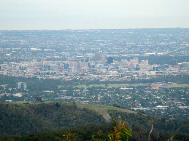 view-of-adelaide-from-mt-lofty